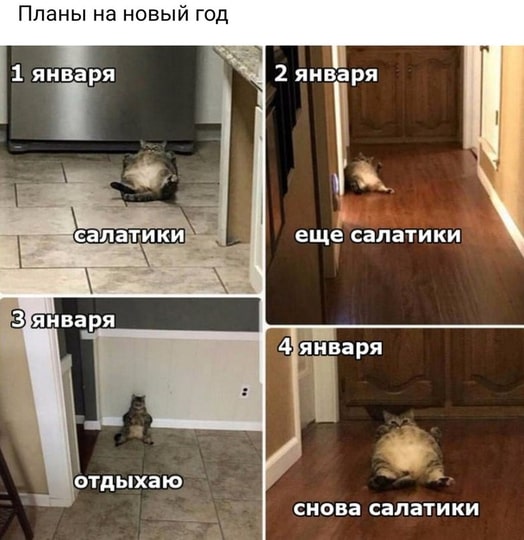 Весёлый полтишок 29.12.22