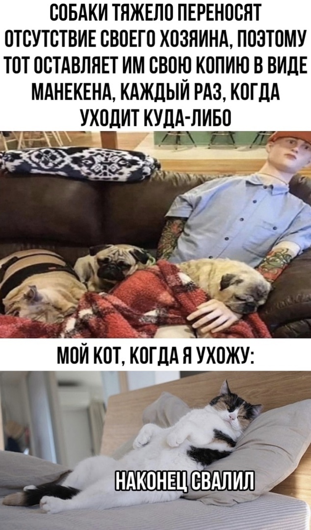 Так себе картинки 18.01.23