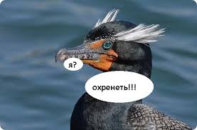 Вербуем америкосов
