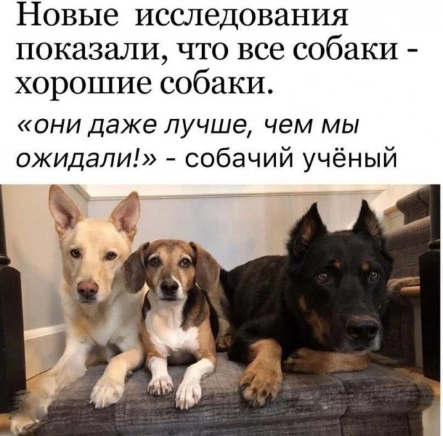 Картинки и мемы, всем хороших выходных