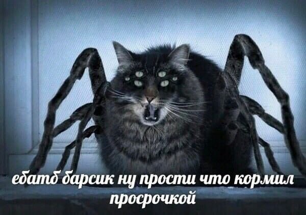 Юмор в картинках и без 09.05.2023
