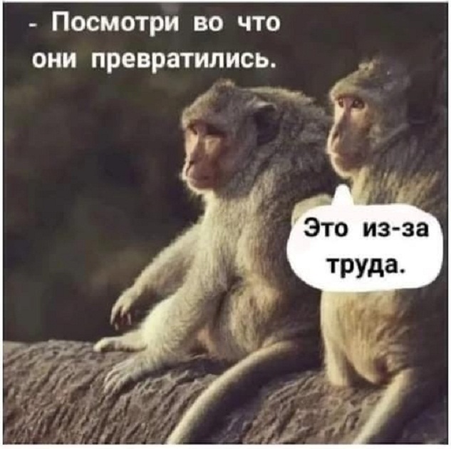 Картинки и мемы, это май-чародей всяко разно - 177