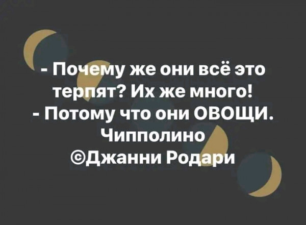Названы статьи нового уголовного дела в отношении Алексея Навального