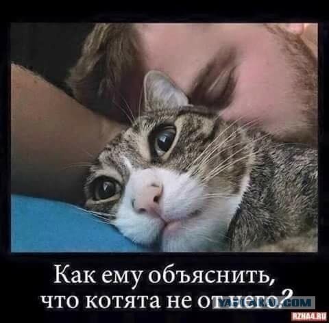 Для чего дошёл прогресс