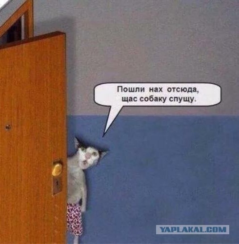 Поясните глупой женщине