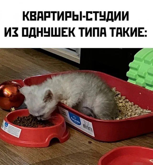 Сборник бабаянов или неожиданная помойка от Неждалигады