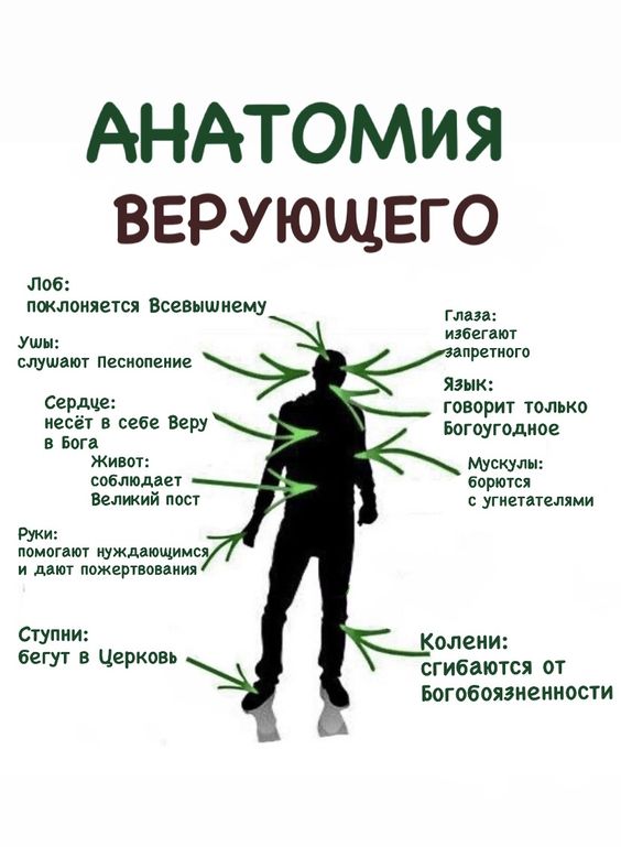 Прикольные и просто красивые картинки 24.09.2024