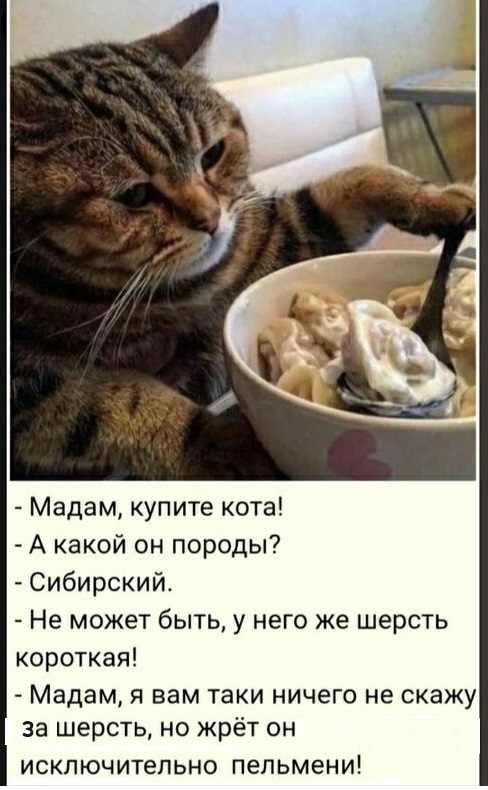 Картинки разные с надписями и без