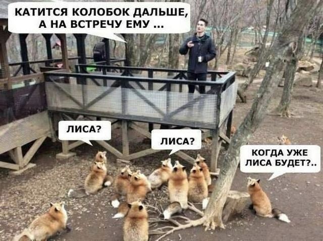 Весёлые картинки
