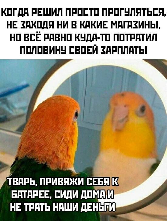 Картинки для деградации 73 (разной степени свежести)
