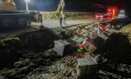 Из попавшего в аварию грузовика разбежались тысячи крабов