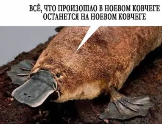 Картиночки, баянчики 21 января