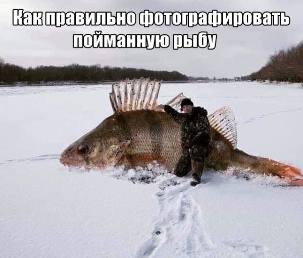 Дегрономикон 15