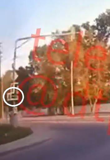 Упс, сальтухи