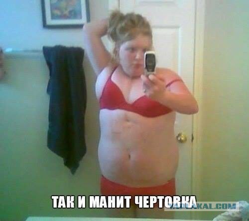 Перлы из сетей