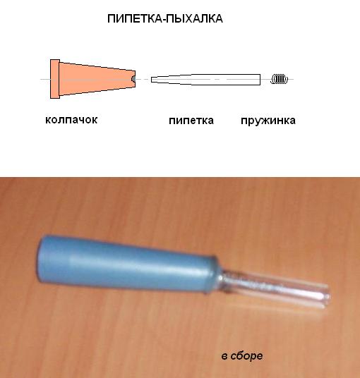 Визуализируем свои ники!