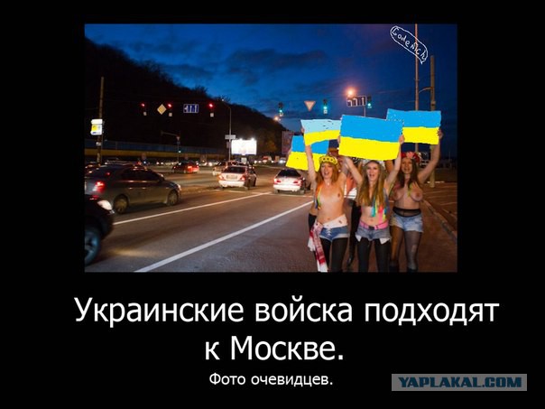 Десяток карикатур