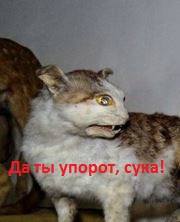 Северная Корея, какой вы никогда её не видели
