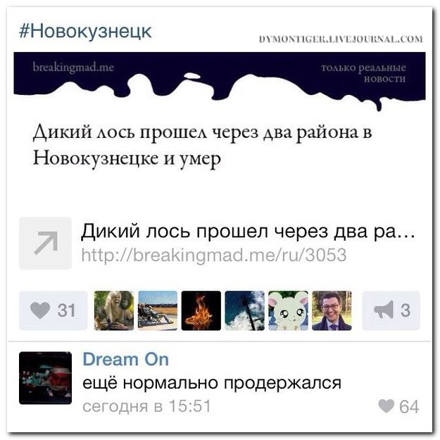 Комментарии из социальных сетей