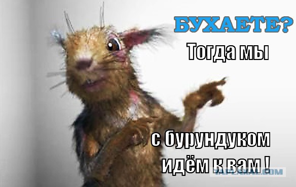 Девушка и бурундук