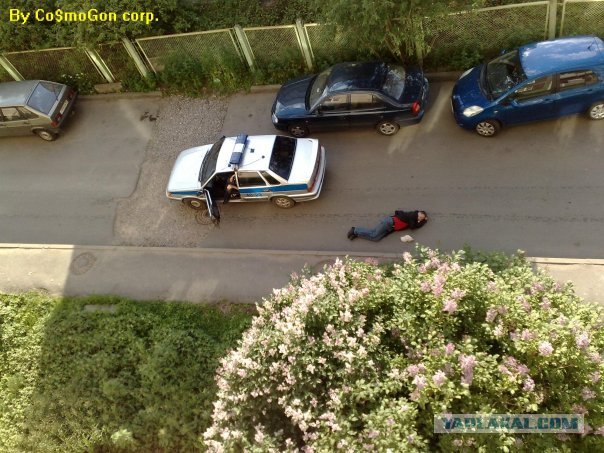 Вид из вашего окна