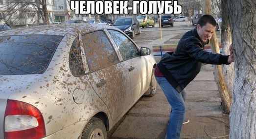 Никогда не гладьте кота, у которого понос