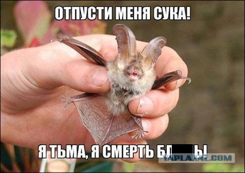 Поднимаем настроение