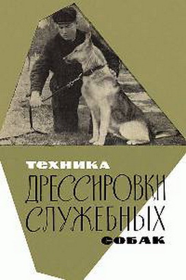 Женщины...