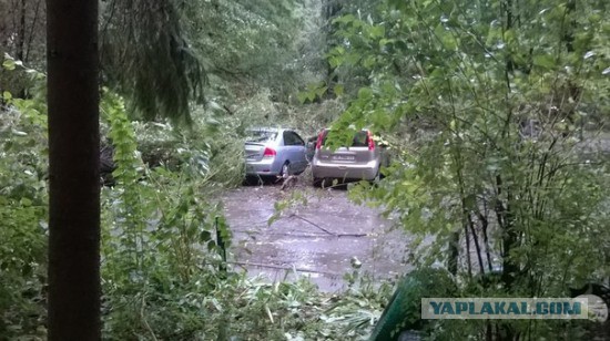 Ночной ураган в Днепропетровске, 24.09.2014.