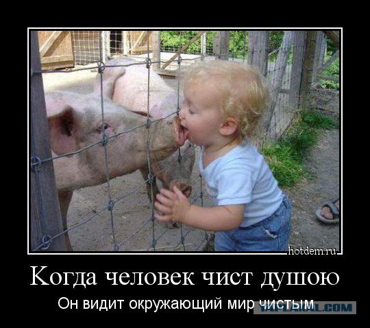 Подборка демотиваторов