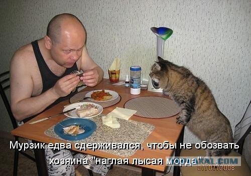 Смешные комментарии из социальных сетей