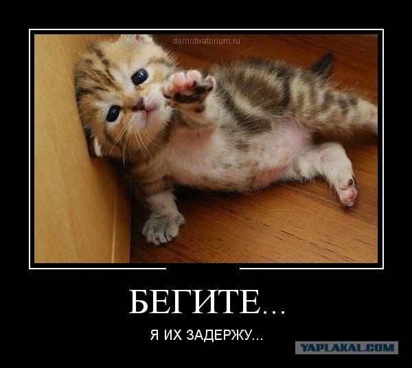 Россия отказывается от Windows!