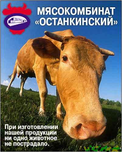 Совет вегетарианцам