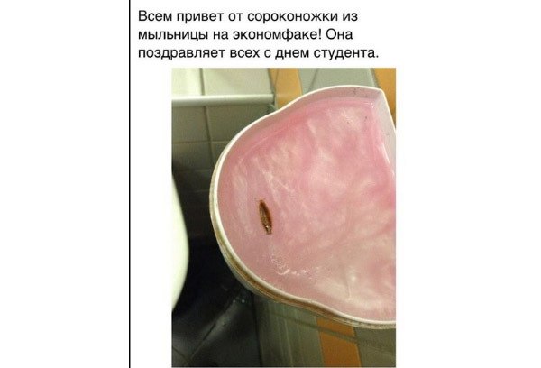 Смешные комментарии из социальных сетей 19.08.15