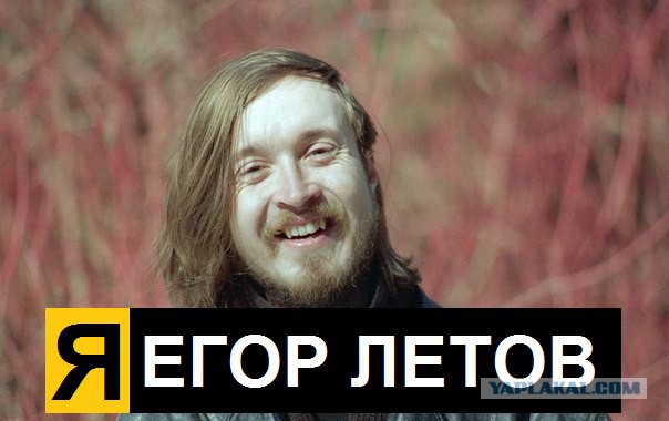 Егор Летов тоже любил котиков!
