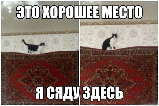 Картинки на пятницу