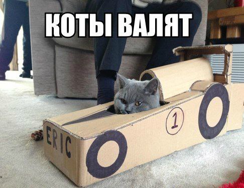 Прикольные картинки