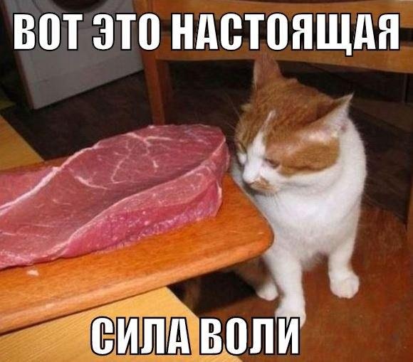 Картинки и демотиваторы