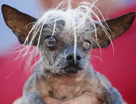 Какое же?