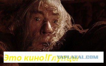 Выживший 2015. С точки зрения охотника...