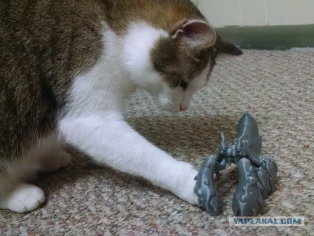 Чоткий краб