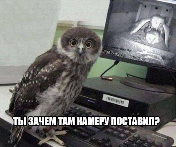 Смешные комментарии 27.03.2016