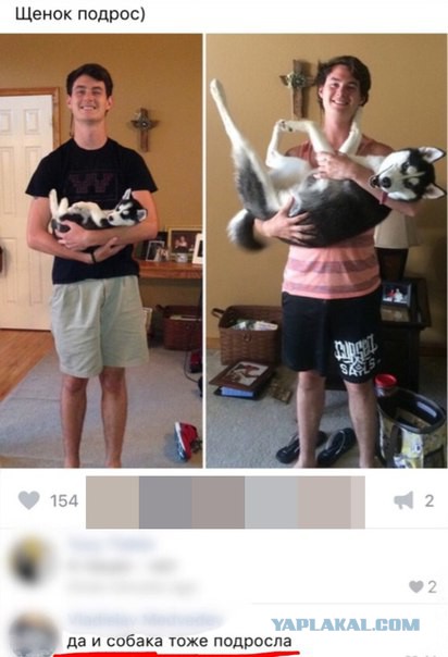 Просто 20 картинок из интернета...