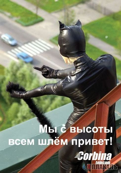 Корбина проводит интернет (видео)