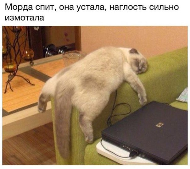 Ассорти картинок из сети
