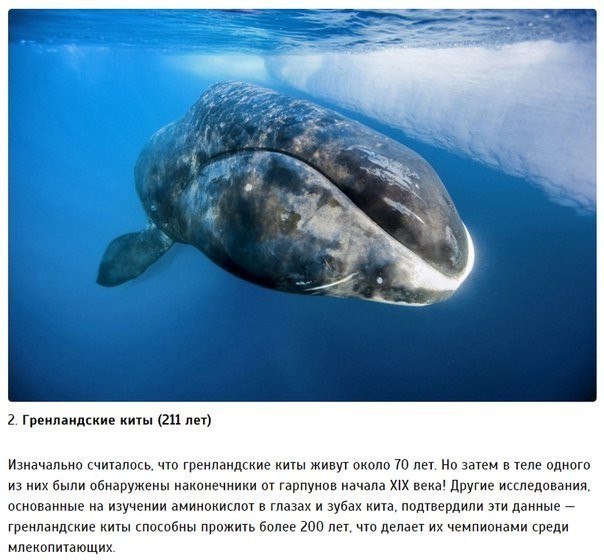 Картинки для отдыха глаз