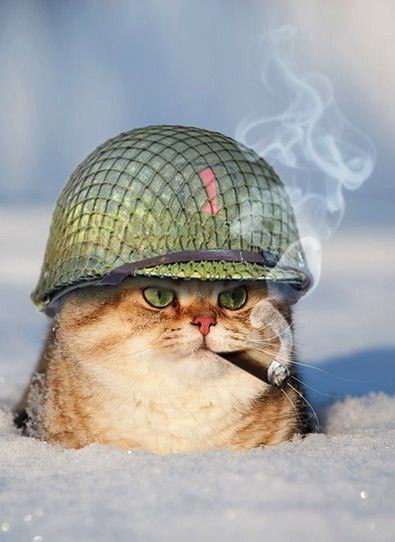 Точка перелома все ближе.