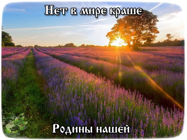 Отдохните от городской суеты
