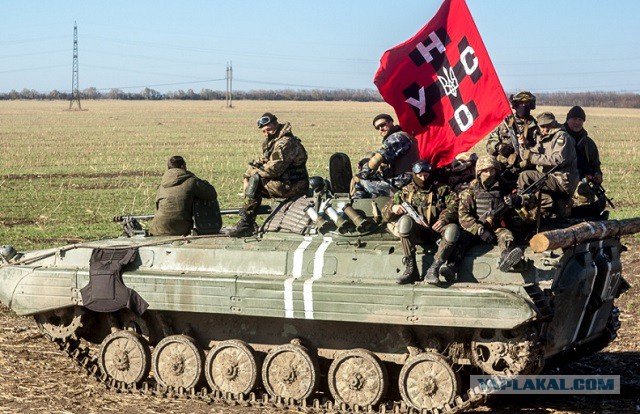 Чеченский боец принял вызов