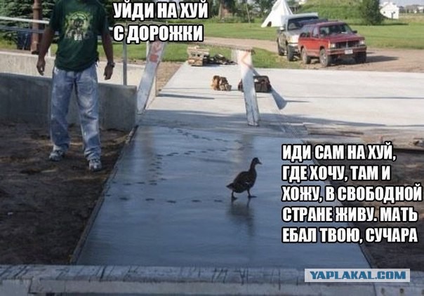Подборка странных картинок с не менее странными надписями